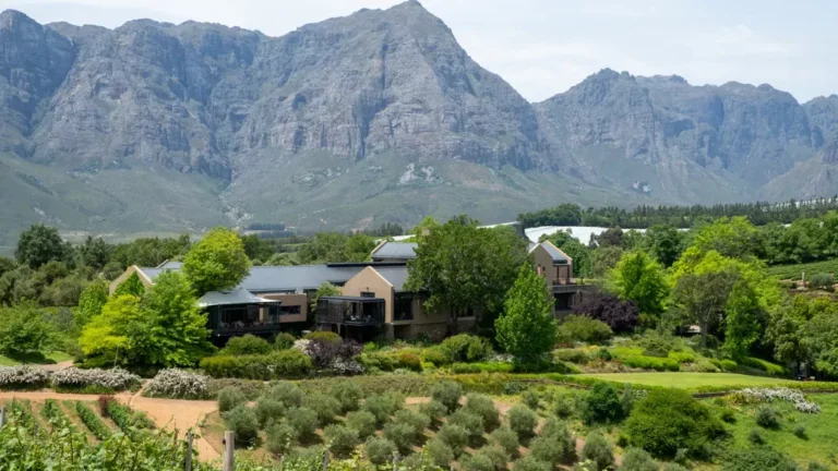 Tokara Wine Estate and Restaurant Tokara Wine Estate and Restaurant