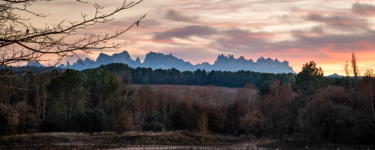 Top 13 things to do in Gastronomic Catalonia Catalonia. A sunset over a field with trees and Montserrat mountains in the background.