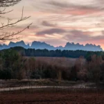 Top 13 things to do in Gastronomic Catalonia Catalonia. A sunset over a field with trees and Montserrat mountains in the background.