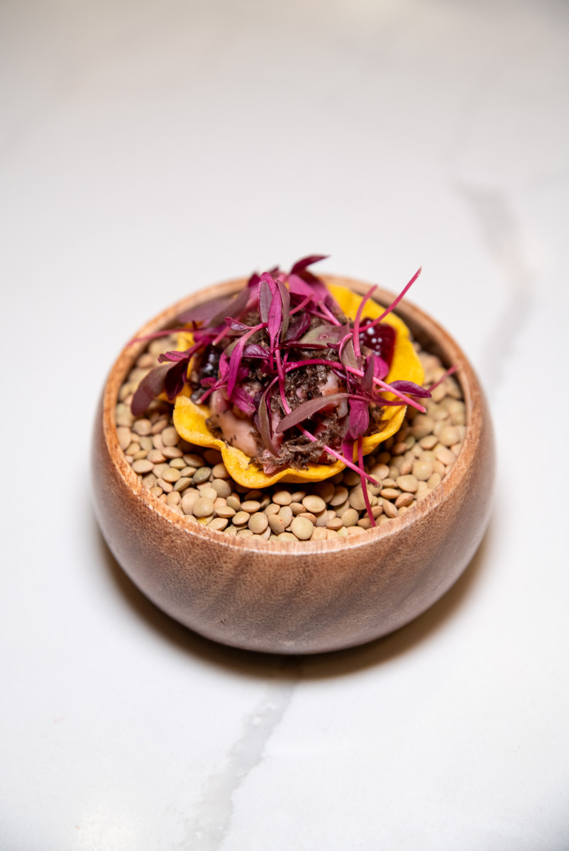 A small wooden bowl filled with lentils, topped with a yellow edible flower, microgreens, and a savory mixture, placed on a white surface.