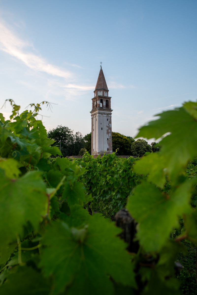 Fresh Venetian lagoon seafood course at Venissa restaurant