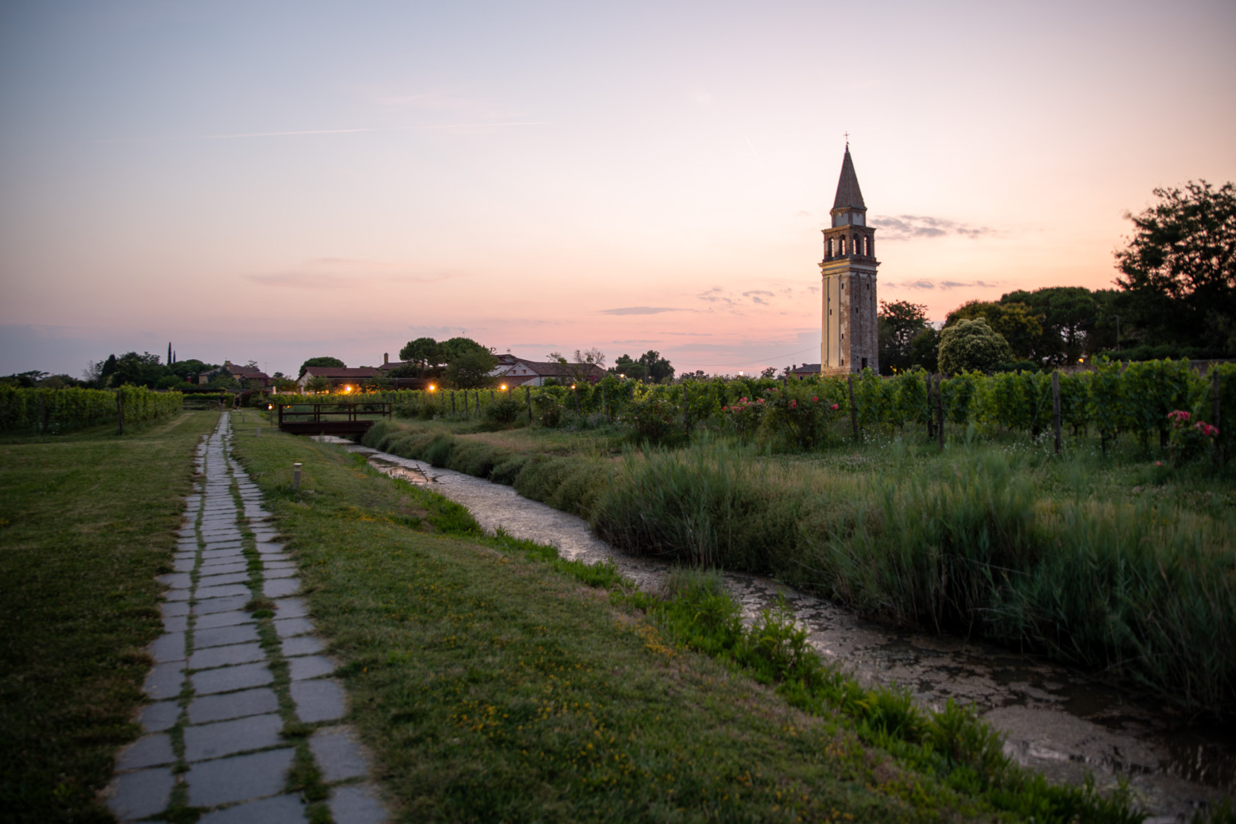 Michelin Green Star sustainable dish at Venissa Venice lagoon