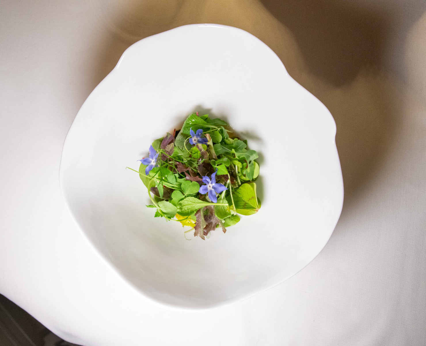 Softly lit open kitchen theatre at Autem restaurant Milan